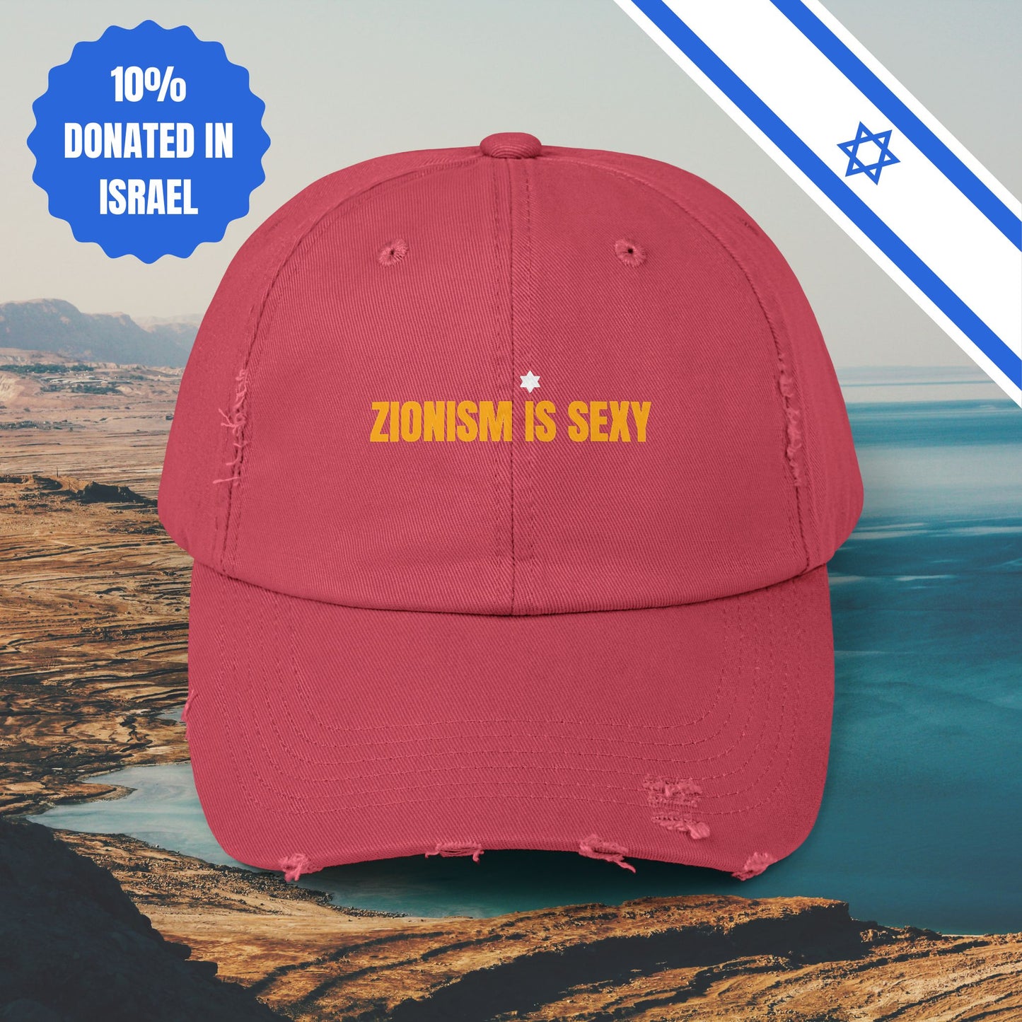 Zionism is Sexy Hat Distressed Cap Stand With Us United Zionism Zionist Judaism Gift Jewish Israel Present Israeli Uniform for Him Her Hat