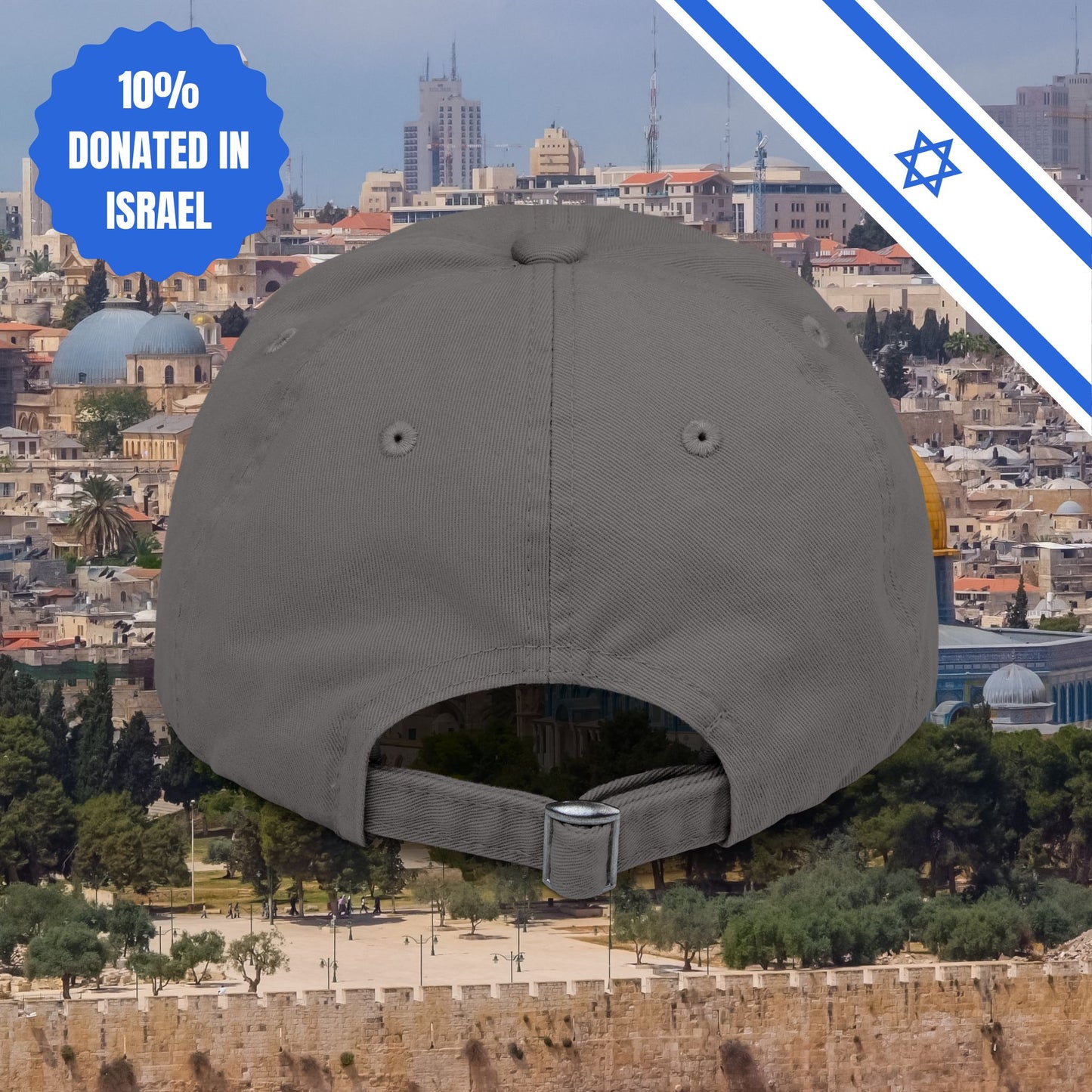 Zionism is Sexy Hat Distressed Cap Stand With Us United Zionism Zionist Judaism Gift Jewish Israel Present Israeli Uniform for Him Her Hat