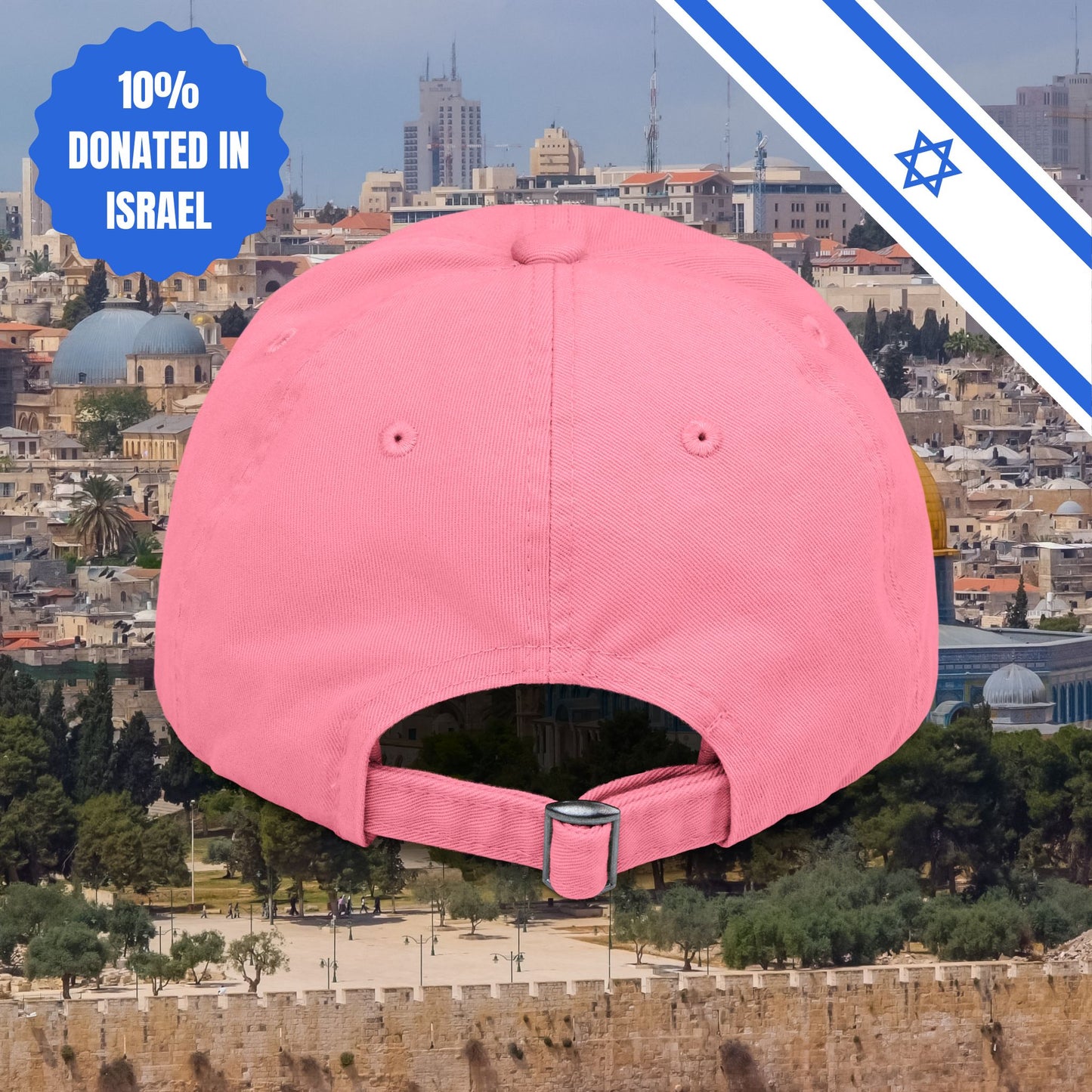 Zionism is Sexy Hat Distressed Cap Stand With Us United Zionism Zionist Judaism Gift Jewish Israel Present Israeli Uniform for Him Her Hat
