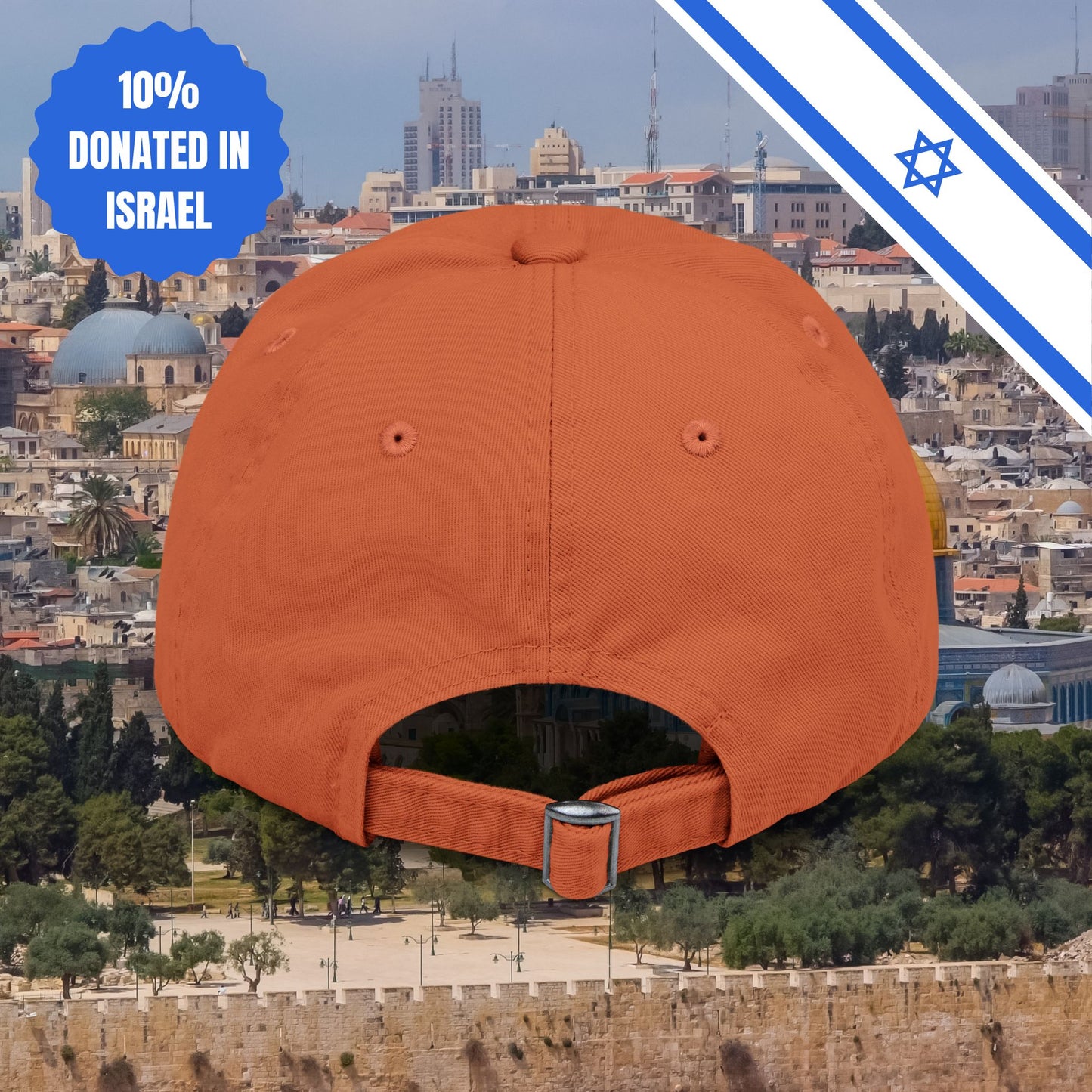 Zionism is Sexy Hat Distressed Cap Stand With Us United Zionism Zionist Judaism Gift Jewish Israel Present Israeli Uniform for Him Her Hat