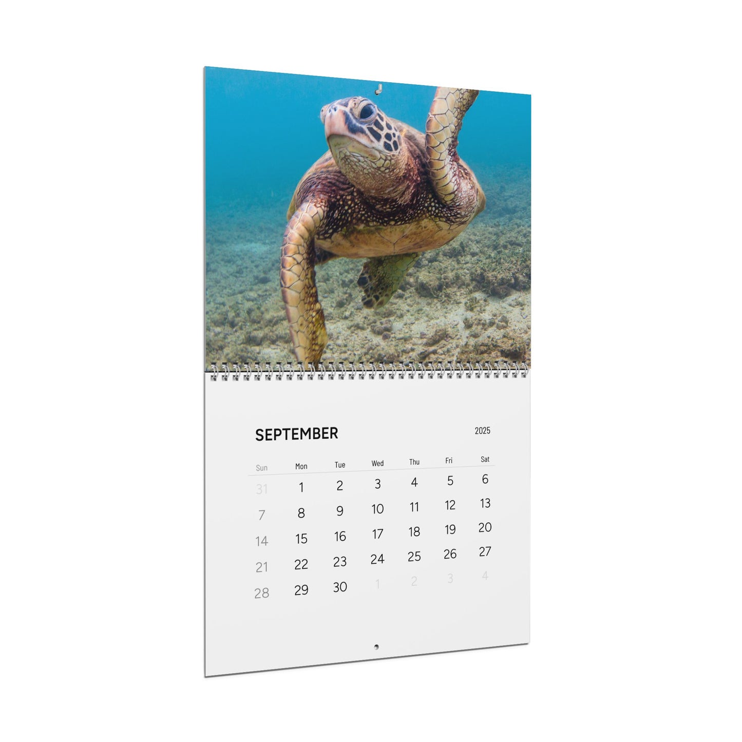 2024 Dive Style Calendar - Artistic Scuba Diving Themed Wall Calendar, Perfect for Diving Enthusiasts and Ocean Lovers