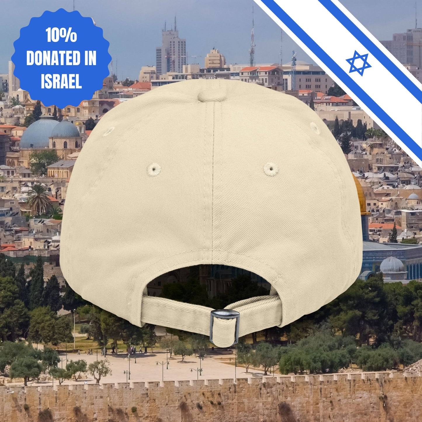 Zionism is Sexy Hat Distressed Cap Stand With Us United Zionism Zionist Judaism Gift Jewish Israel Present Israeli Uniform for Him Her Hat