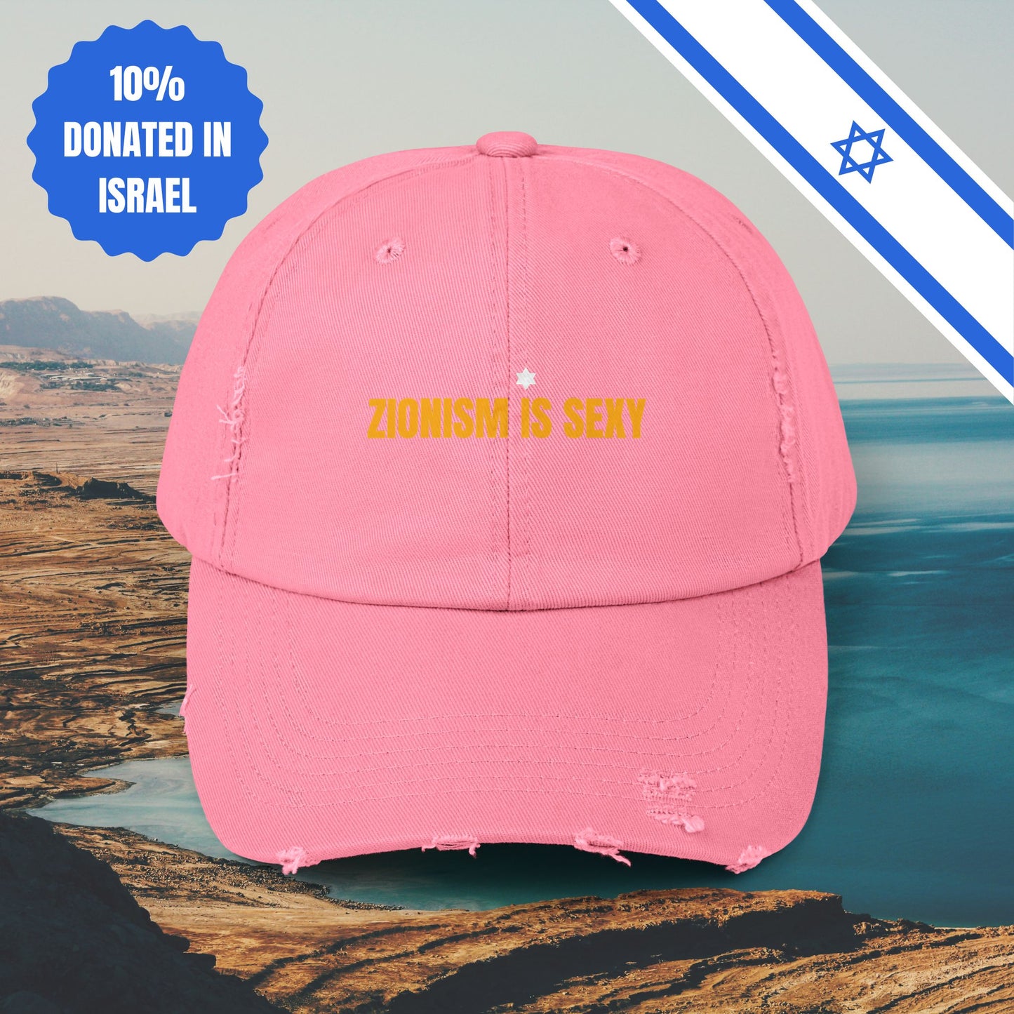 Zionism is Sexy Hat Distressed Cap Stand With Us United Zionism Zionist Judaism Gift Jewish Israel Present Israeli Uniform for Him Her Hat