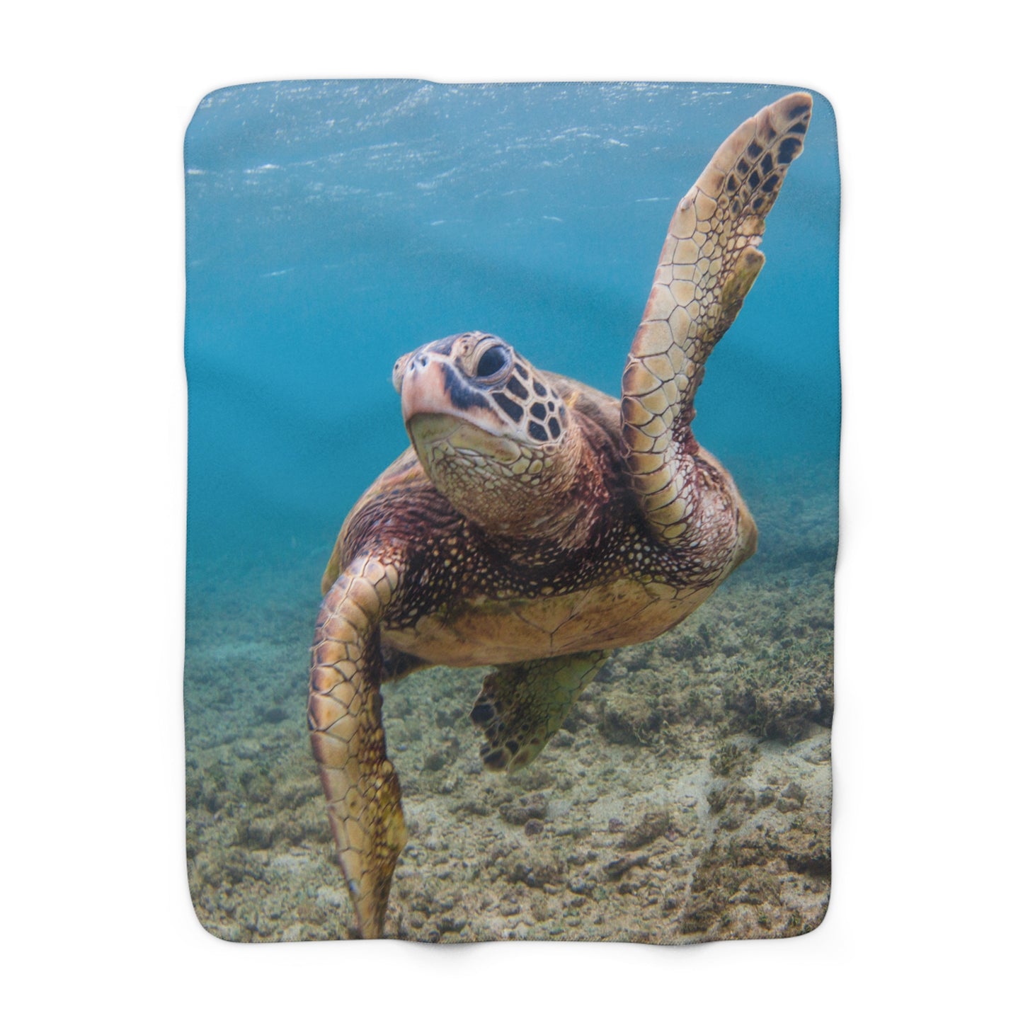 Cute Sea Turtle Sherpa Fleece Blanket
