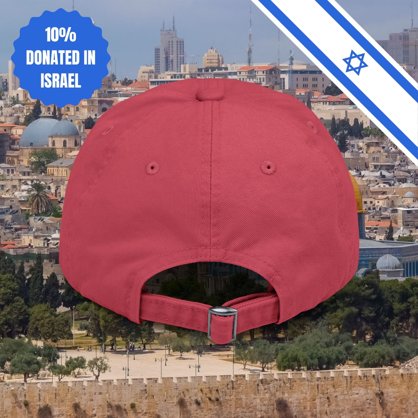 Zionism is Sexy Hat Distressed Cap Stand With Us United Zionism Zionist Judaism Gift Jewish Israel Present Israeli Uniform for Him Her Hat