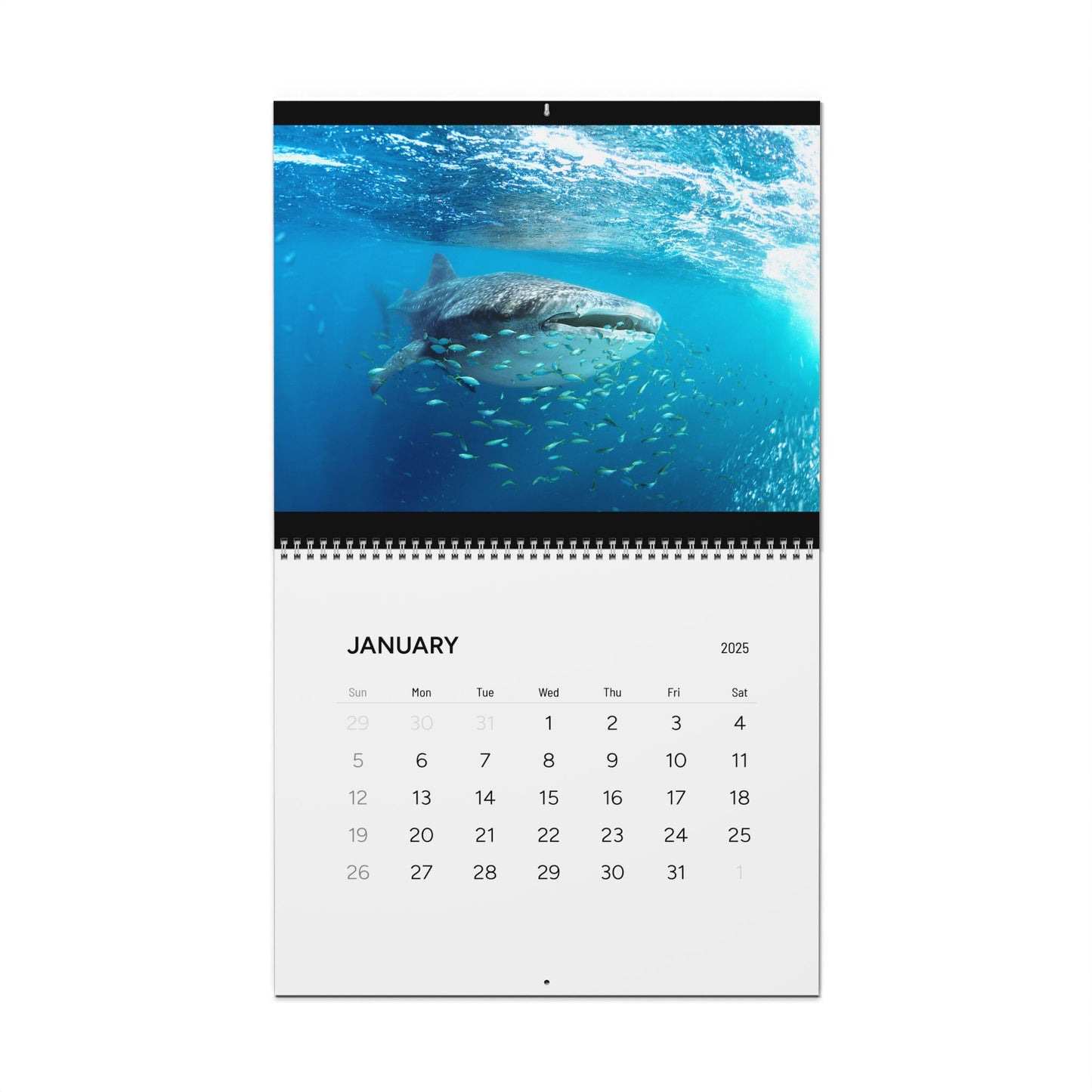 2024 Dive Style Calendar - Artistic Scuba Diving Themed Wall Calendar, Perfect for Diving Enthusiasts and Ocean Lovers