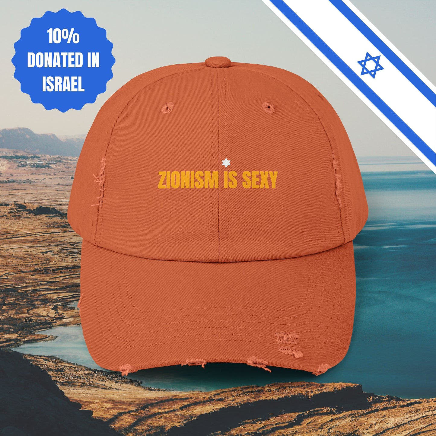 Zionism is Sexy Hat Distressed Cap Stand With Us United Zionism Zionist Judaism Gift Jewish Israel Present Israeli Uniform for Him Her Hat