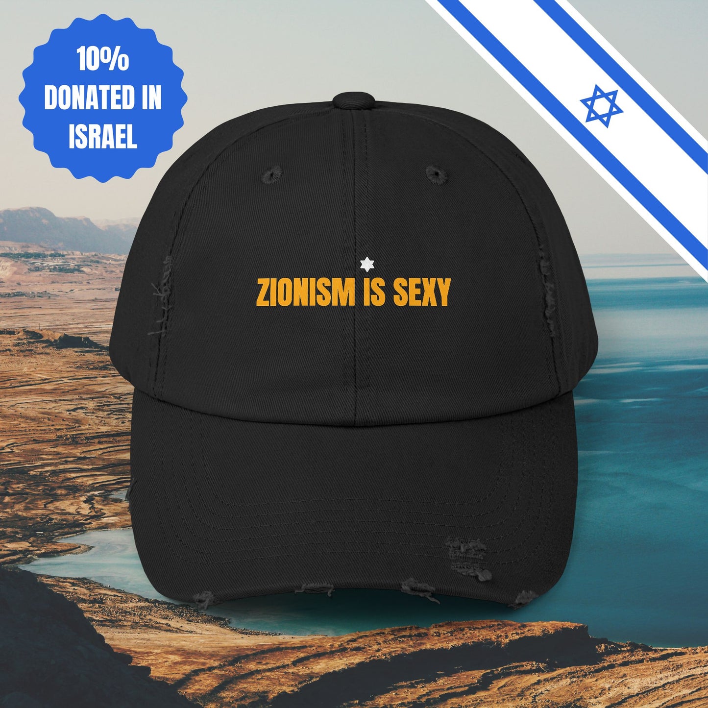 Zionism is Sexy Hat Distressed Cap Stand With Us United Zionism Zionist Judaism Gift Jewish Israel Present Israeli Uniform for Him Her Hat